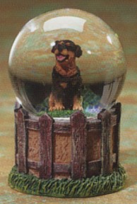 Rottweiler Adult Kennel Club Waterglobe