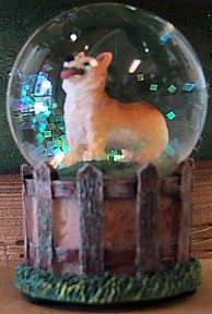 WELSH CORGI ADULT KENNEL CLUB WATERGLOBE