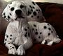 Dalmatian Lying Puppy Dog Figurine