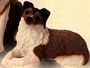Sheltie Puppy Dog Figurine