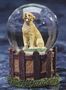 Yellow Labrador Adult Kennel Club Waterglobe